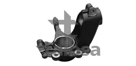 Steering Knuckle, wheel suspension (79-01909L)