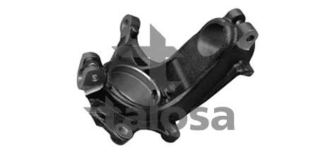 Steering Knuckle, wheel suspension (79-03304L)