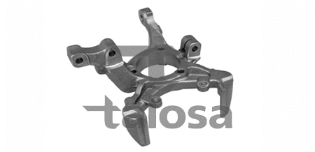 Steering Knuckle, wheel suspension (79-03205R)