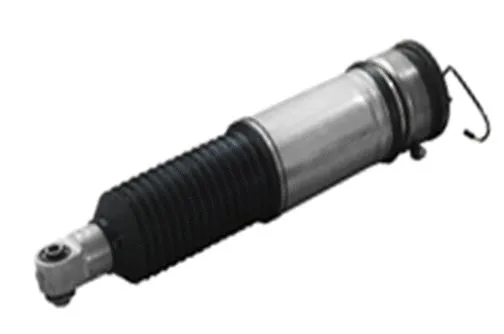 Air Suspension Strut (501030030R)
