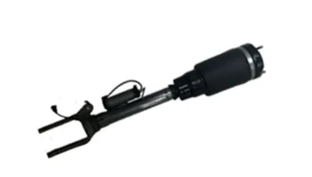 Air Suspension Strut (501120002)