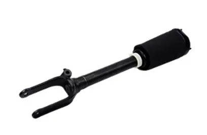 Air Suspension Strut (501120001)