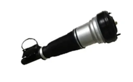 Air Suspension Strut (501120006)