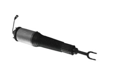 Air Suspension Strut (501020020L)