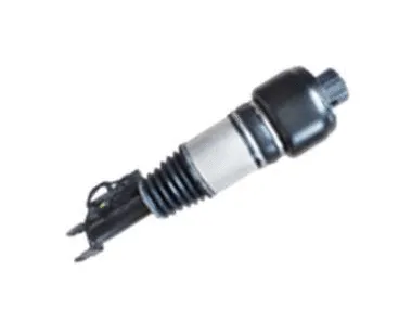 Air Suspension Strut (501120016R)