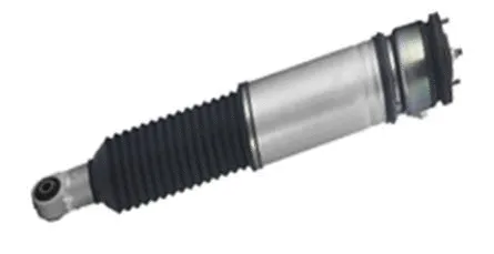 Air Suspension Strut (501030028R)