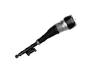 Air Suspension Strut (501120041R)