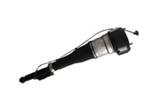 Air Suspension Strut (501120009)