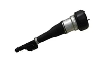 Air Suspension Strut (501120007)