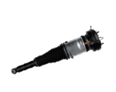 Air Suspension Strut (501020035R)