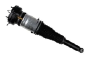 Air Suspension Strut (501020035L)