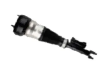 Air Suspension Strut (501120040L)