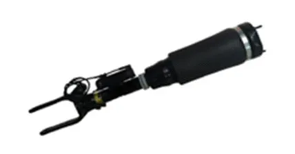 Air Suspension Strut (501120013)