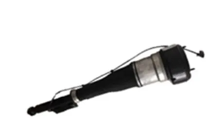 Air Suspension Strut (501120010)