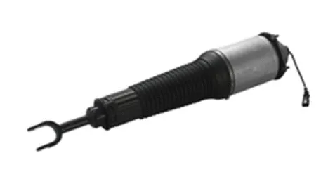 Air Suspension Strut (501020020R)