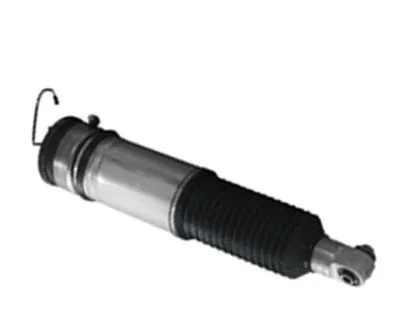 Air Suspension Strut (501030030L)