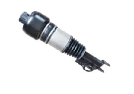 Air Suspension Strut (501120016L)