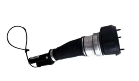 Air Suspension Strut (501120008)