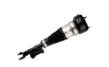 Air Suspension Strut (501120040R)