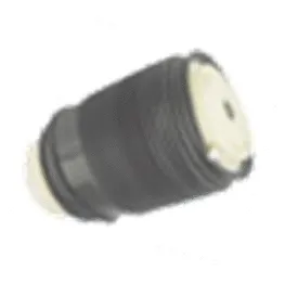 Air Spring, suspension (501120019R)