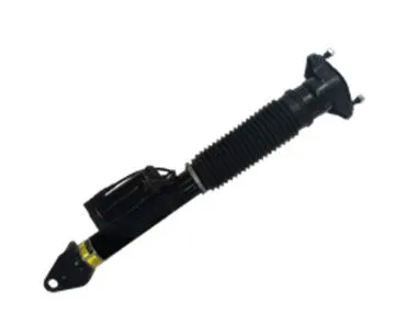Air Suspension Strut (501120005)