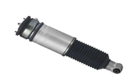 Air Suspension Strut (501030028L)