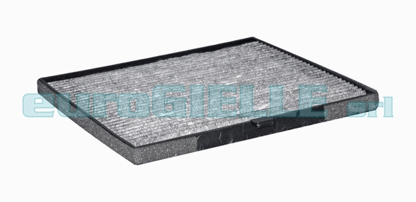 Filter, cabin air (G699)