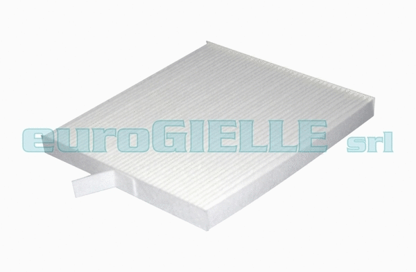 Filter, cabin air (P319)