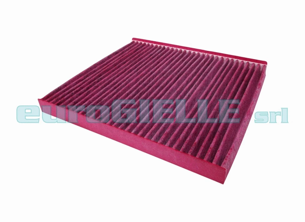 Filter, cabin air (G313-B)