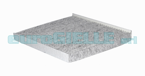 Filter, cabin air (G313)