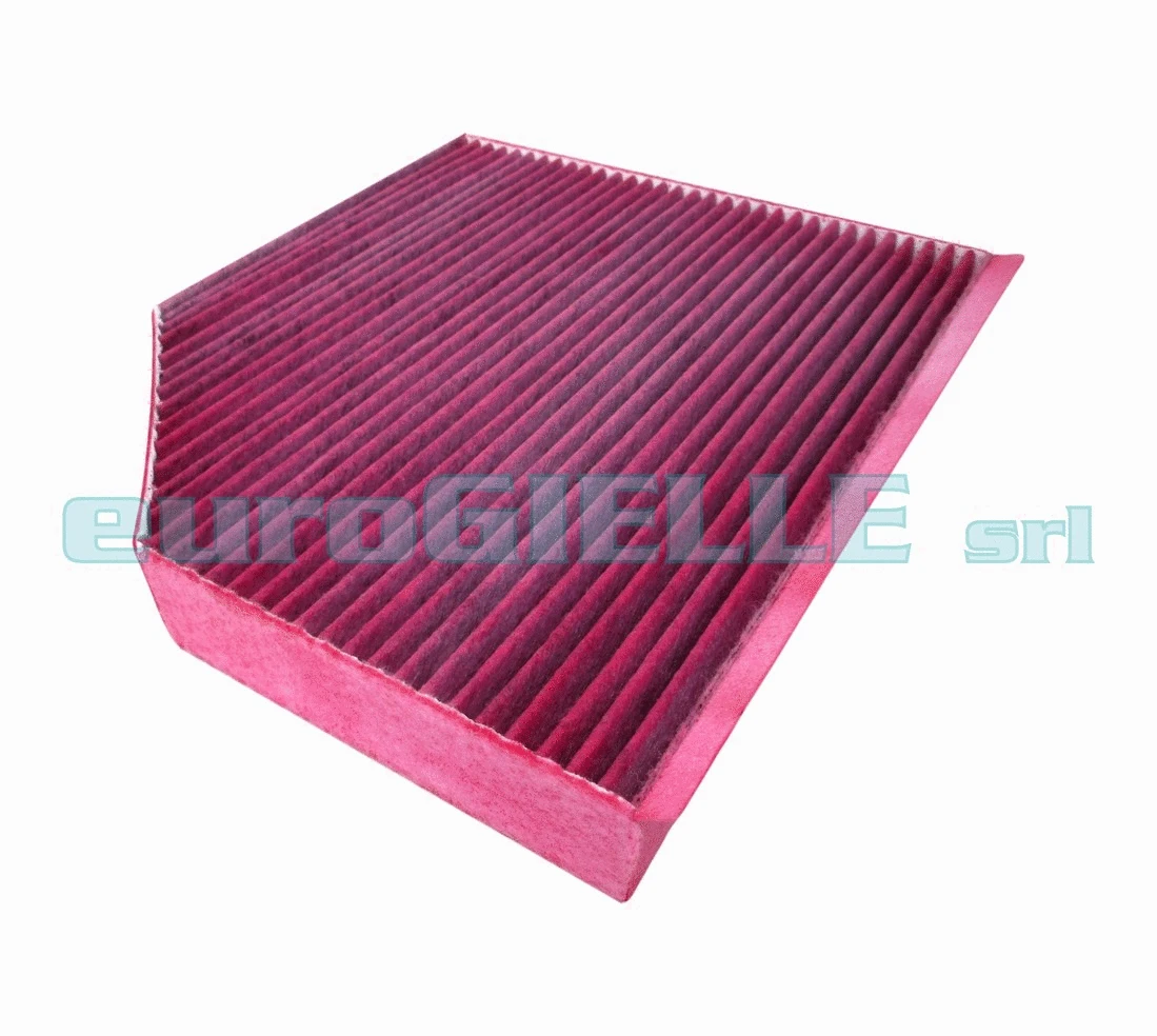 Filter, cabin air (G766-B)
