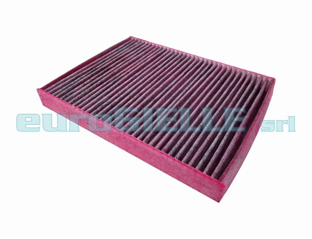 Filter, cabin air (G318-B)