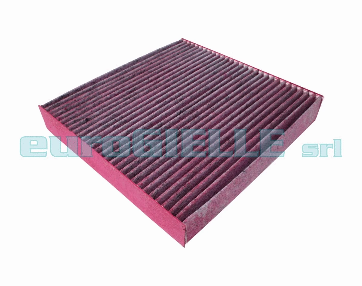 Filter, cabin air (G639-B)