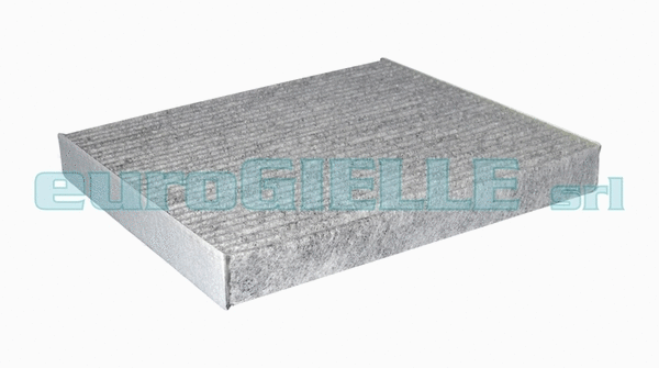Filter, cabin air (G796)