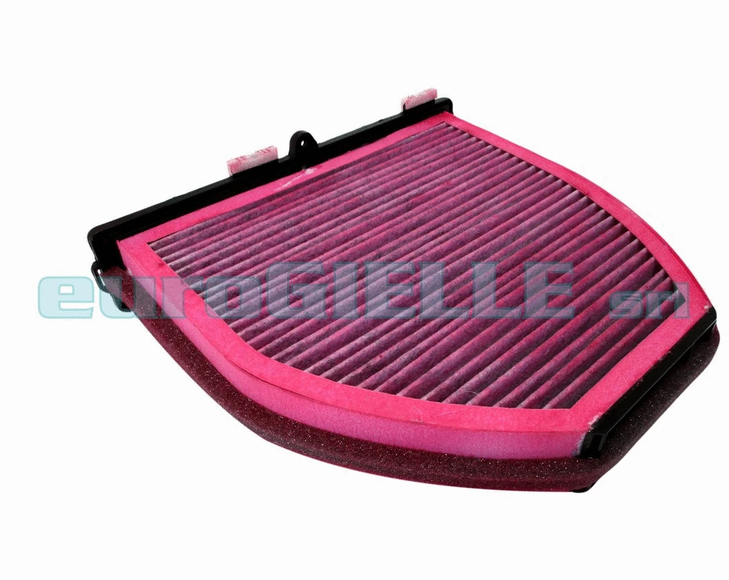 Filter, cabin air (G769-B)