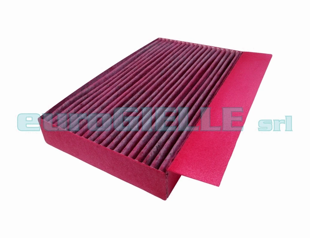 Filter, cabin air (G310-B)