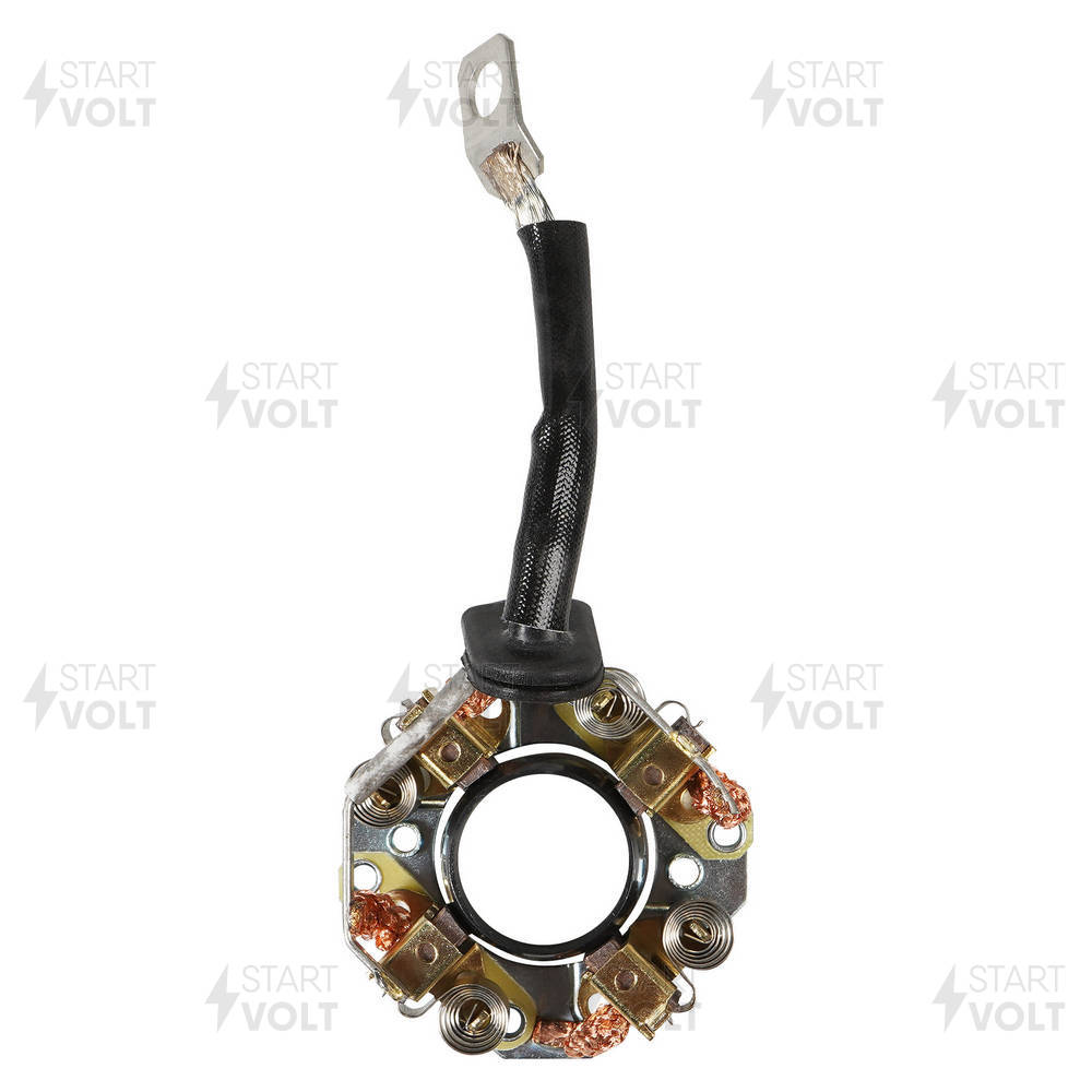 Holder, carbon brushes