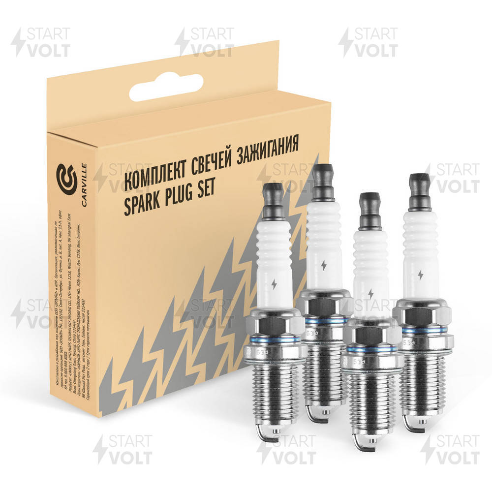 Spark Plug (VSP 0039)