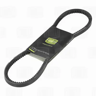 V-Belt (AVX13X875)