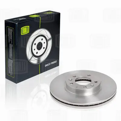Brake Disc (DF 250107)