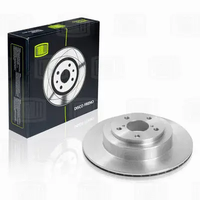 Brake Disc (DF 220106)