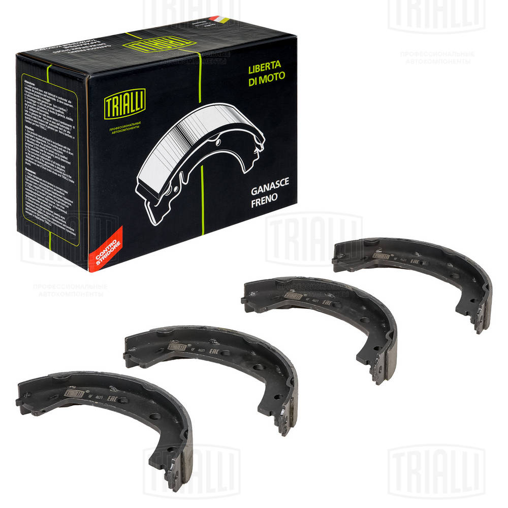 Brake Shoe Set, parking brake (GF 4621)