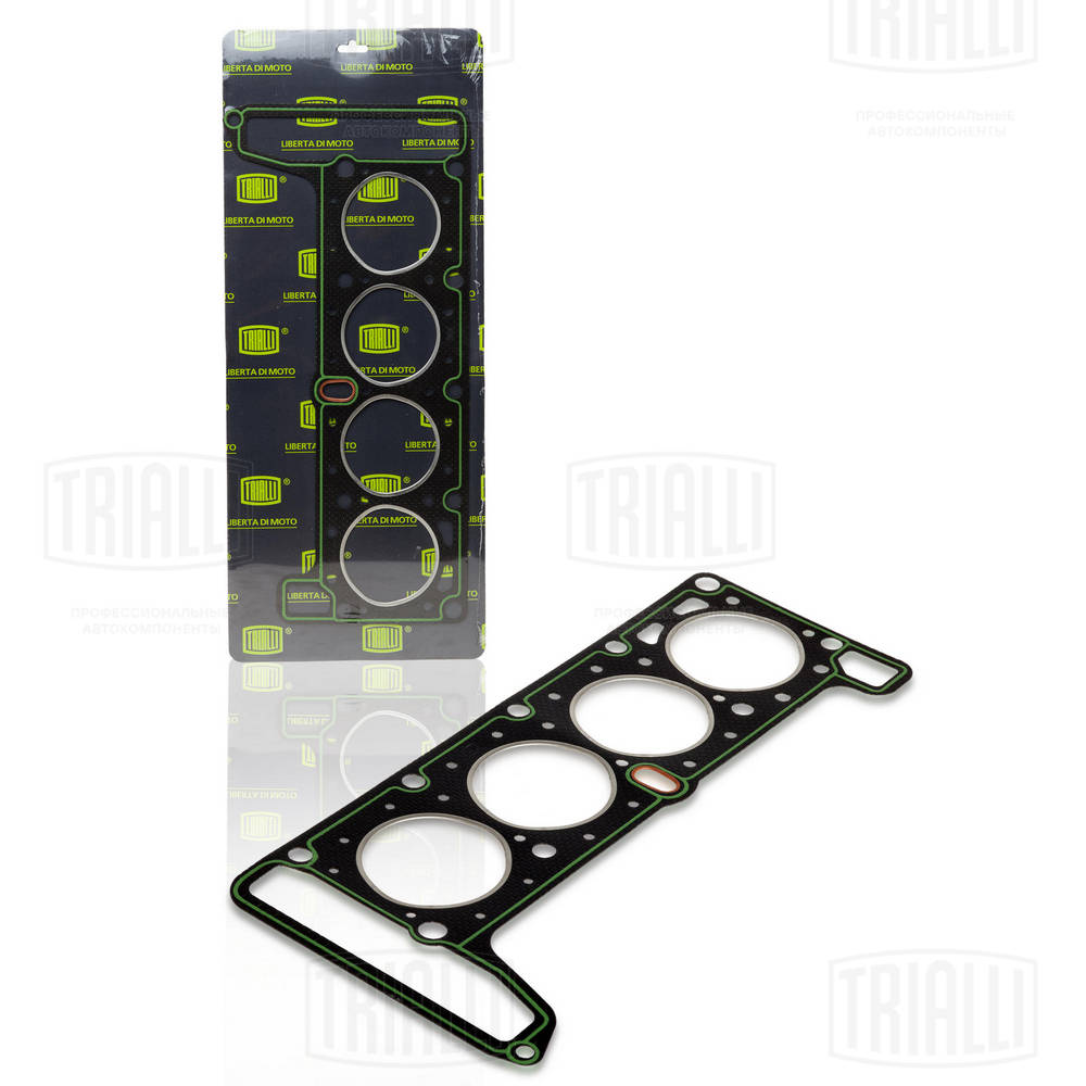 Gasket, cylinder head (GZ 101 2010)