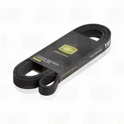 V-Ribbed Belt (6PK2490)