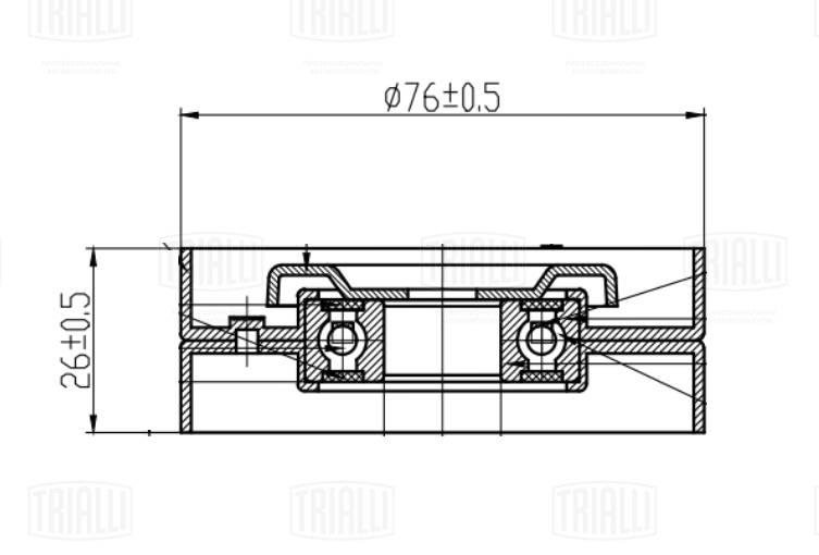 Belt Tensioner, V-ribbed belt (CM 5409)