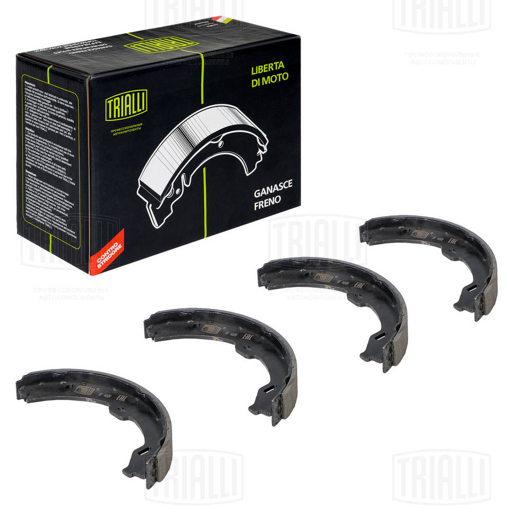 Brake Shoe Set, parking brake (GF 4609)
