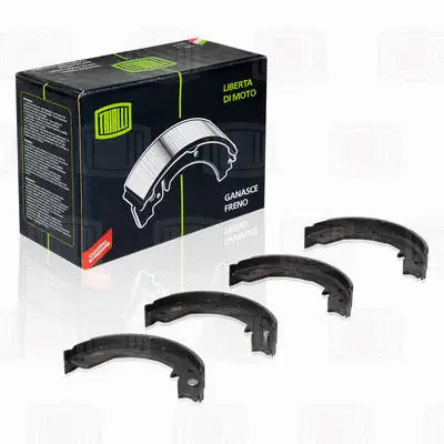 Brake Shoe Set, parking brake (GF 1102)