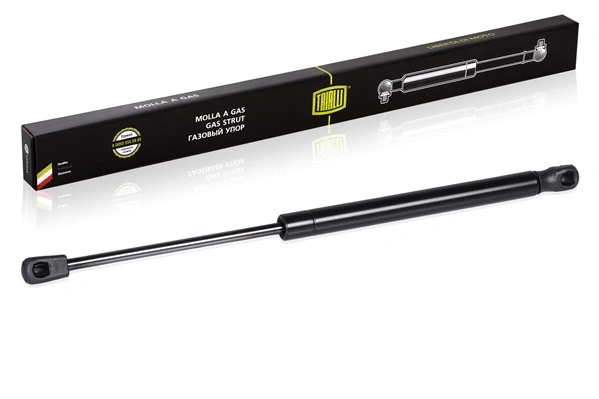Gas Spring, rear window (GS 0847)