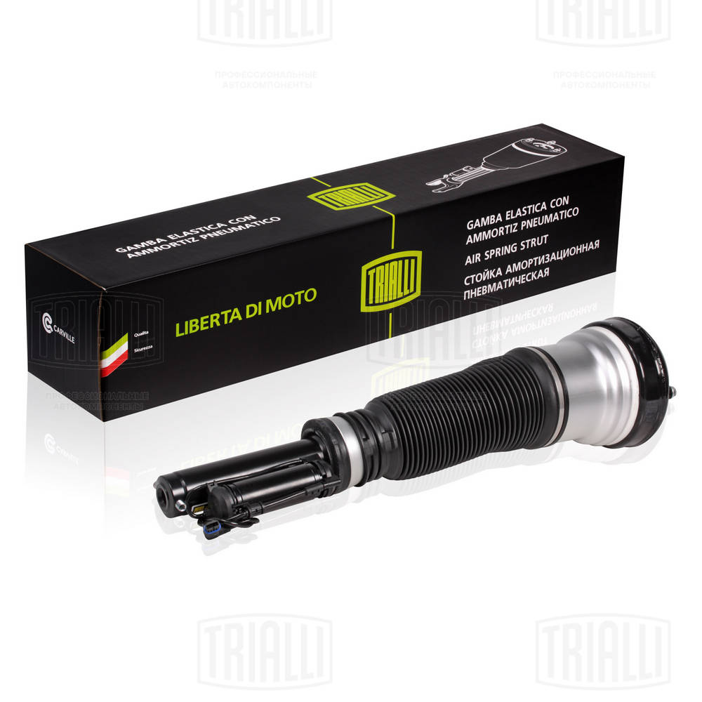 Air Suspension Strut (AG 15950)