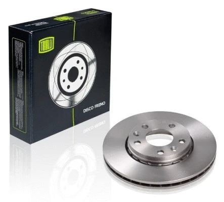Brake Disc (DF 095107)